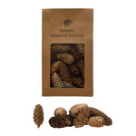 Creative Co-Op Dried Natural Pinecones in Printed Kraft Bag