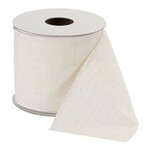 Melrose 4" Wired Ivory Ribbon