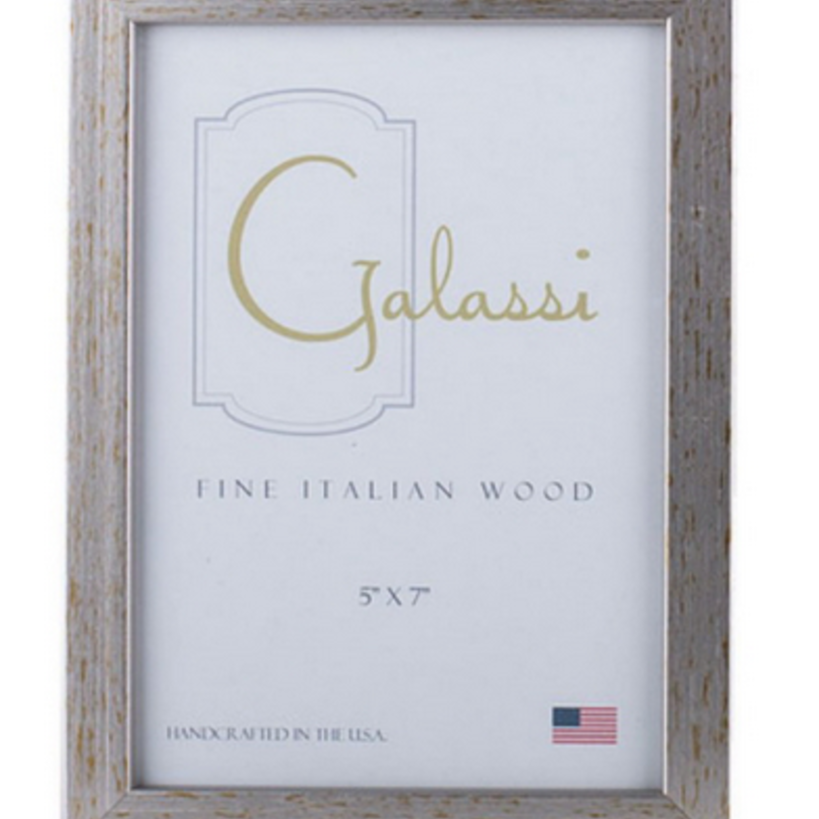 Galassi 8 x 10 Basic Gold Silver Frame