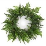 Melrose Fern Wreath 24"