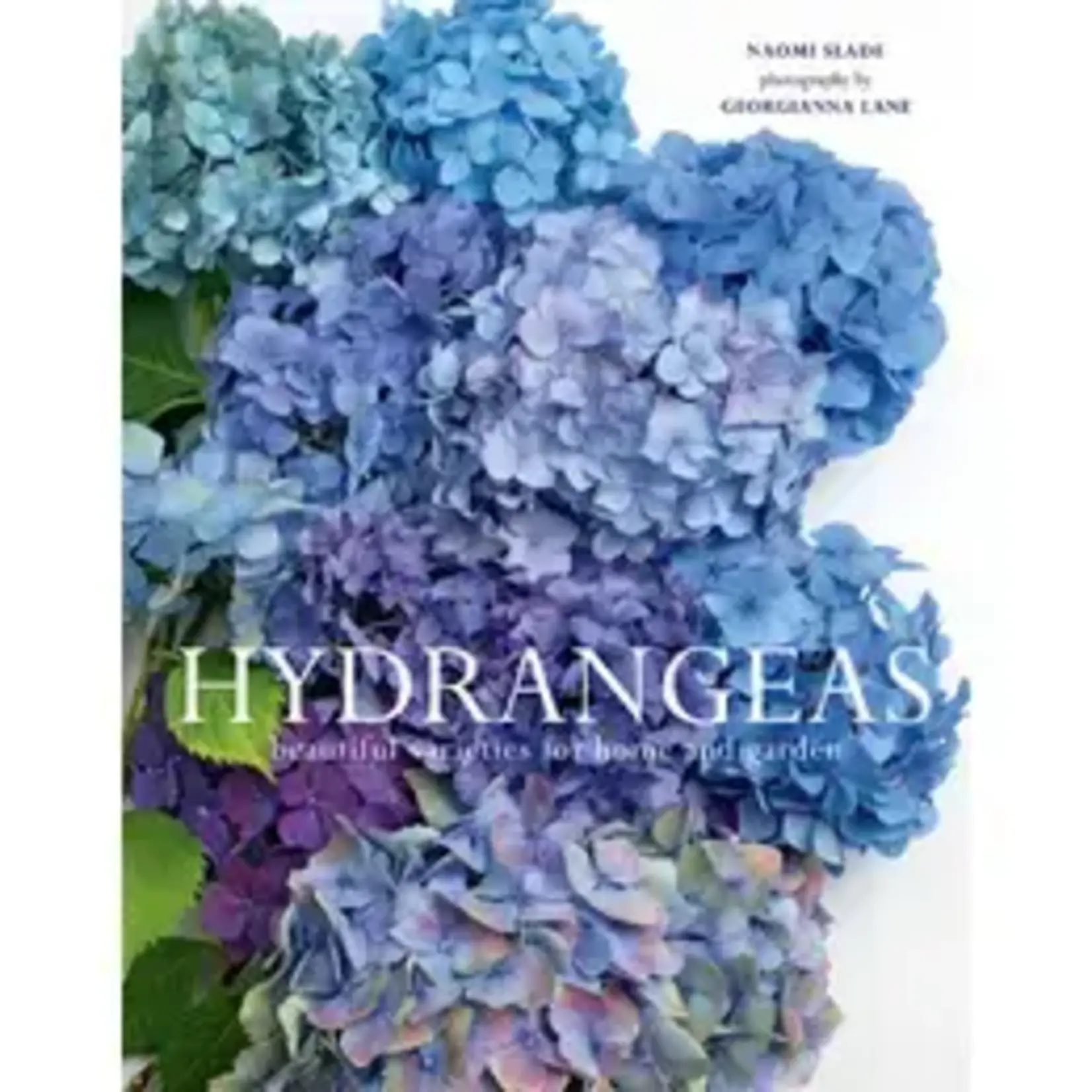 Gibbs Smith Hydrangeas