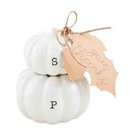 Mud Pie Magnetic Pumpkin Salt & Pepper Set