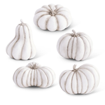 K & K Interiors Assorted White Resin Pumpkins