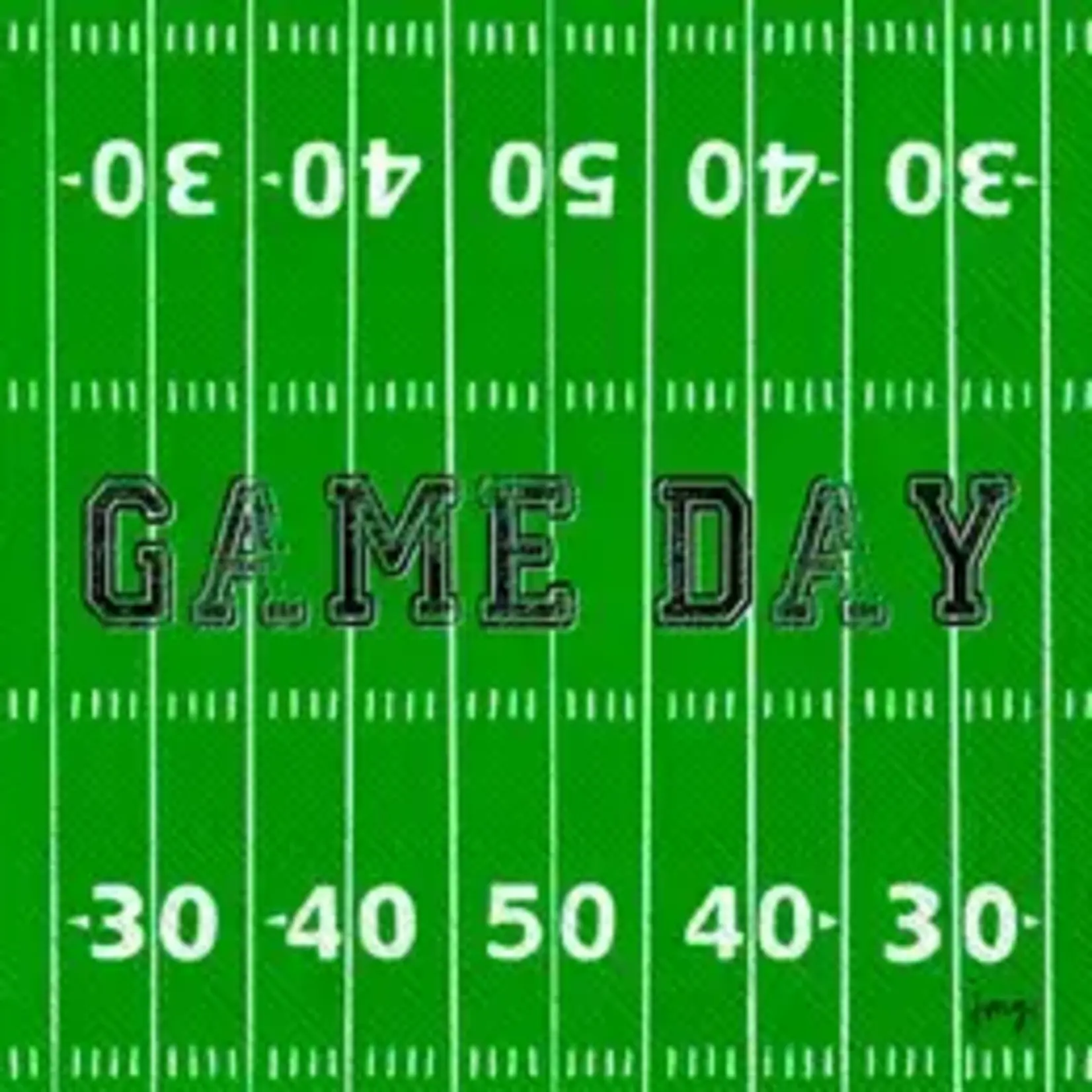Boston International Import Paper Cocktail Napkin Game Day (pack of 20)