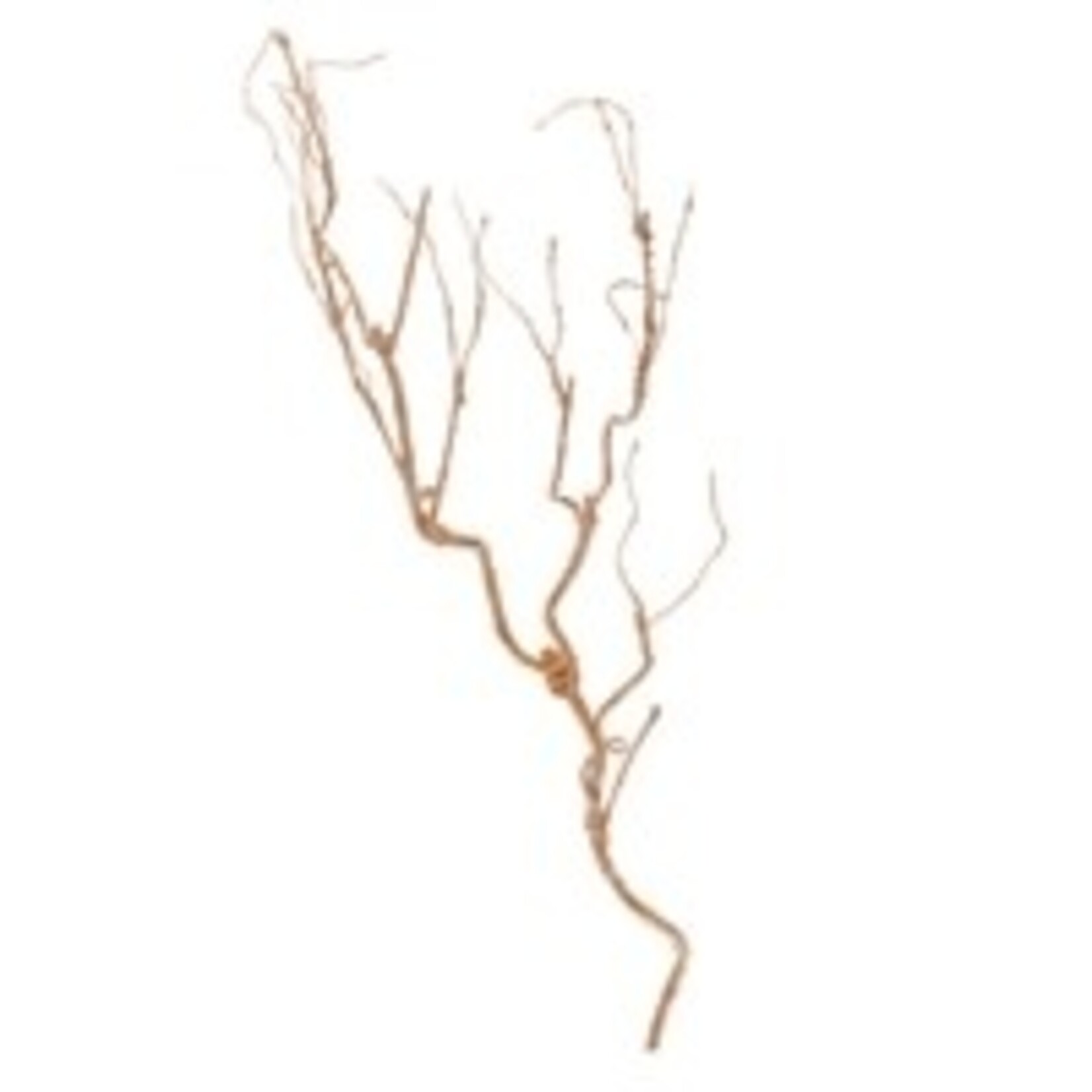 Melrose Silver Glittered Branch 32"H