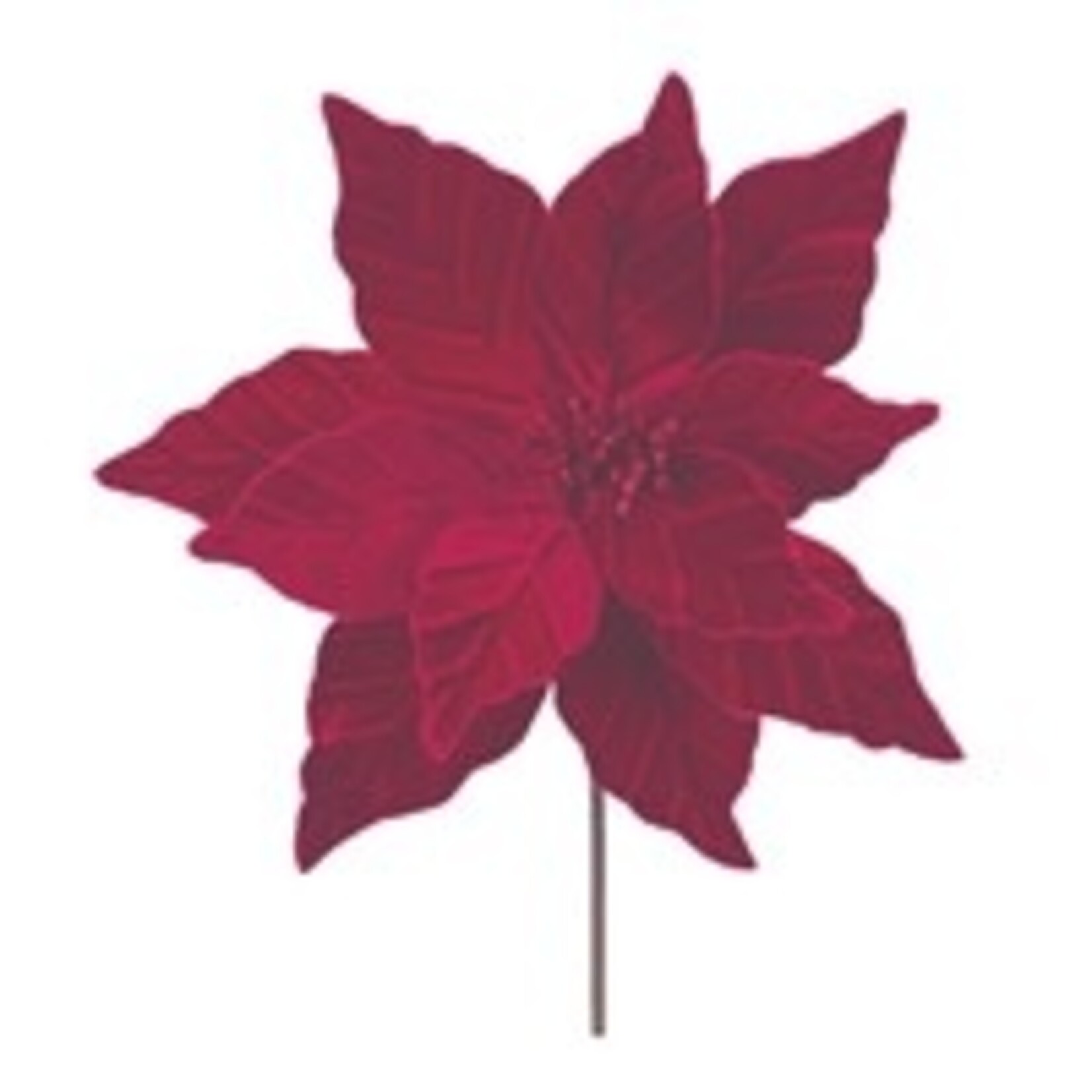 Melrose Red Poinsettia Stem 24" H