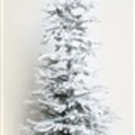 Melrose 48" Flocked Tree w Burlap Base/ Clear Light
