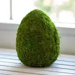 The Royal Standard Moss Egg Decor 10"