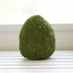 The Royal Standard Moss Egg Decor Green 6.5"