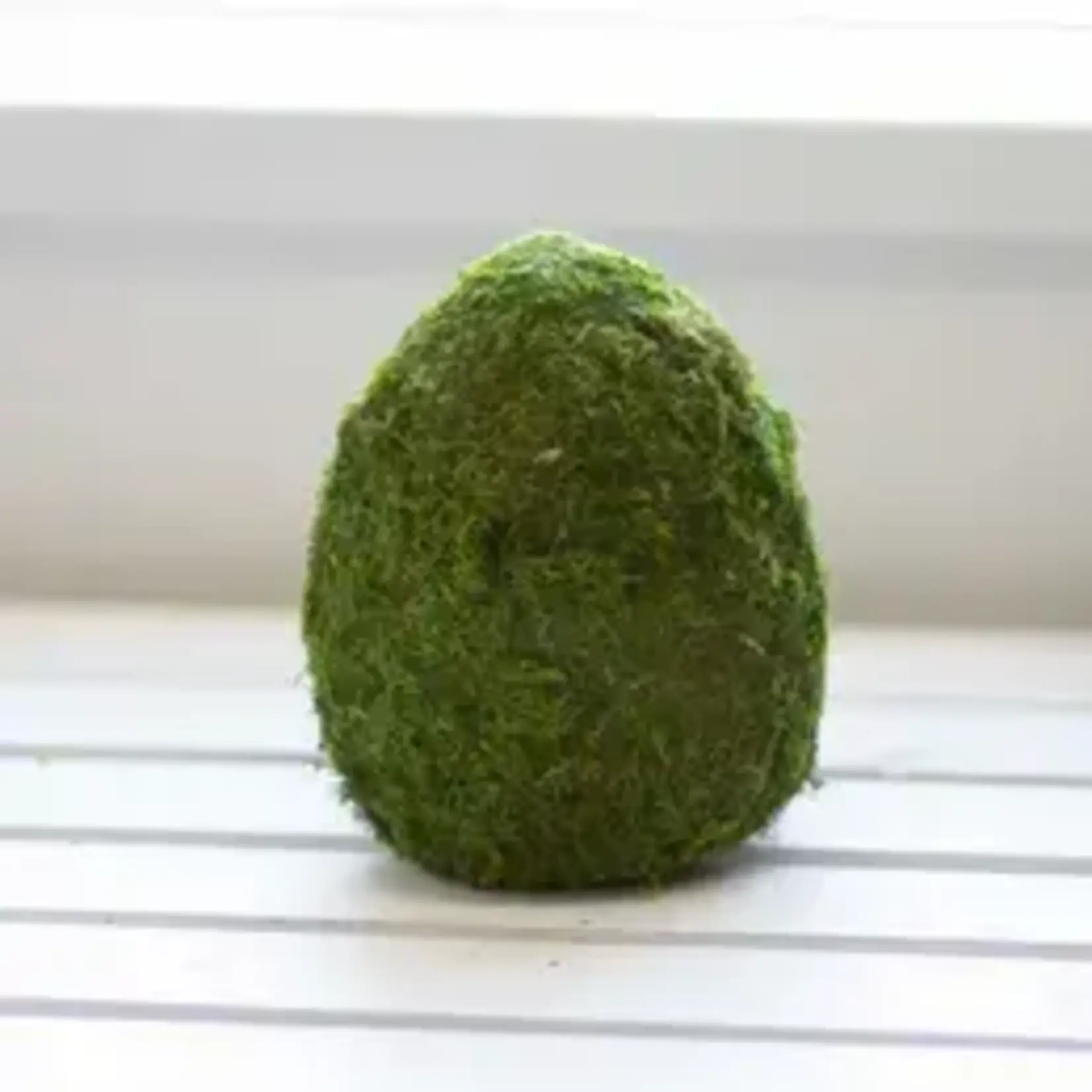 The Royal Standard Moss Egg Decor Green 8"