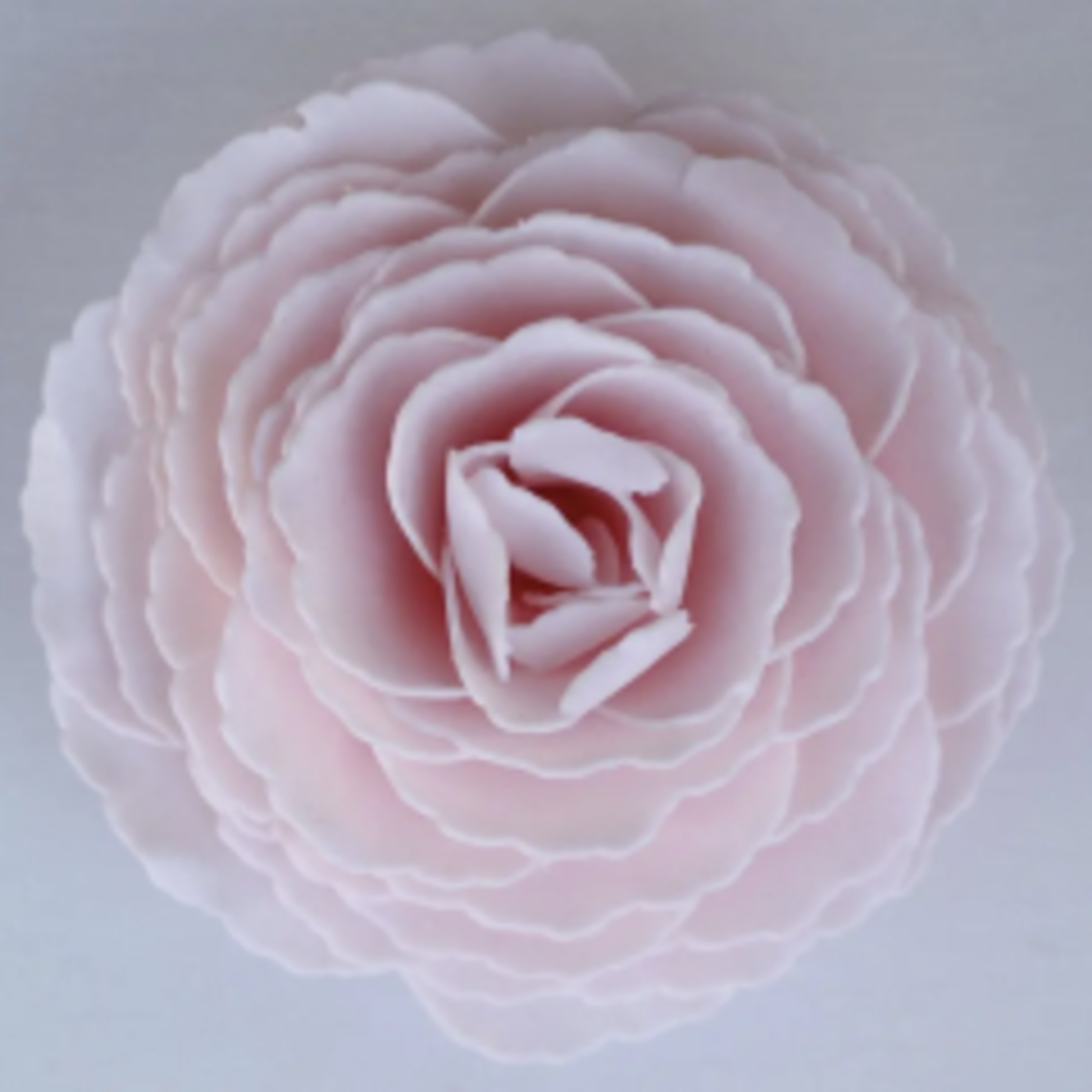 A'Marie"s Bath Flower Shop Day in Paris Peony Petal Soap Flower