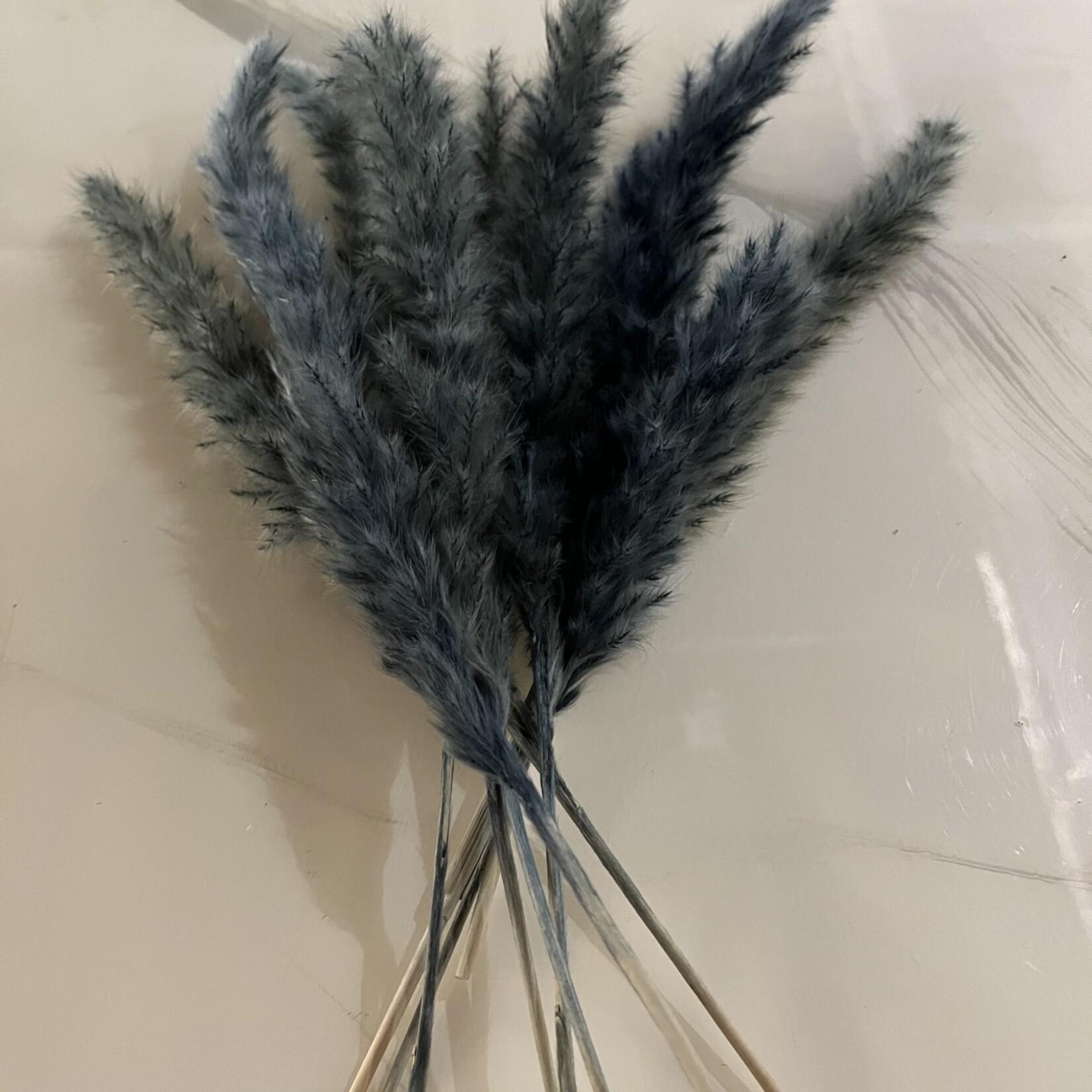 Mud Pie Blue Perserved Pampas Grass 8 Stems 12-14"