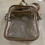 Clear Crossbody, with Pocket on the Front Gold/Clear