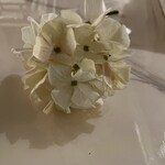 Melrose Hydrangea Stem 13"