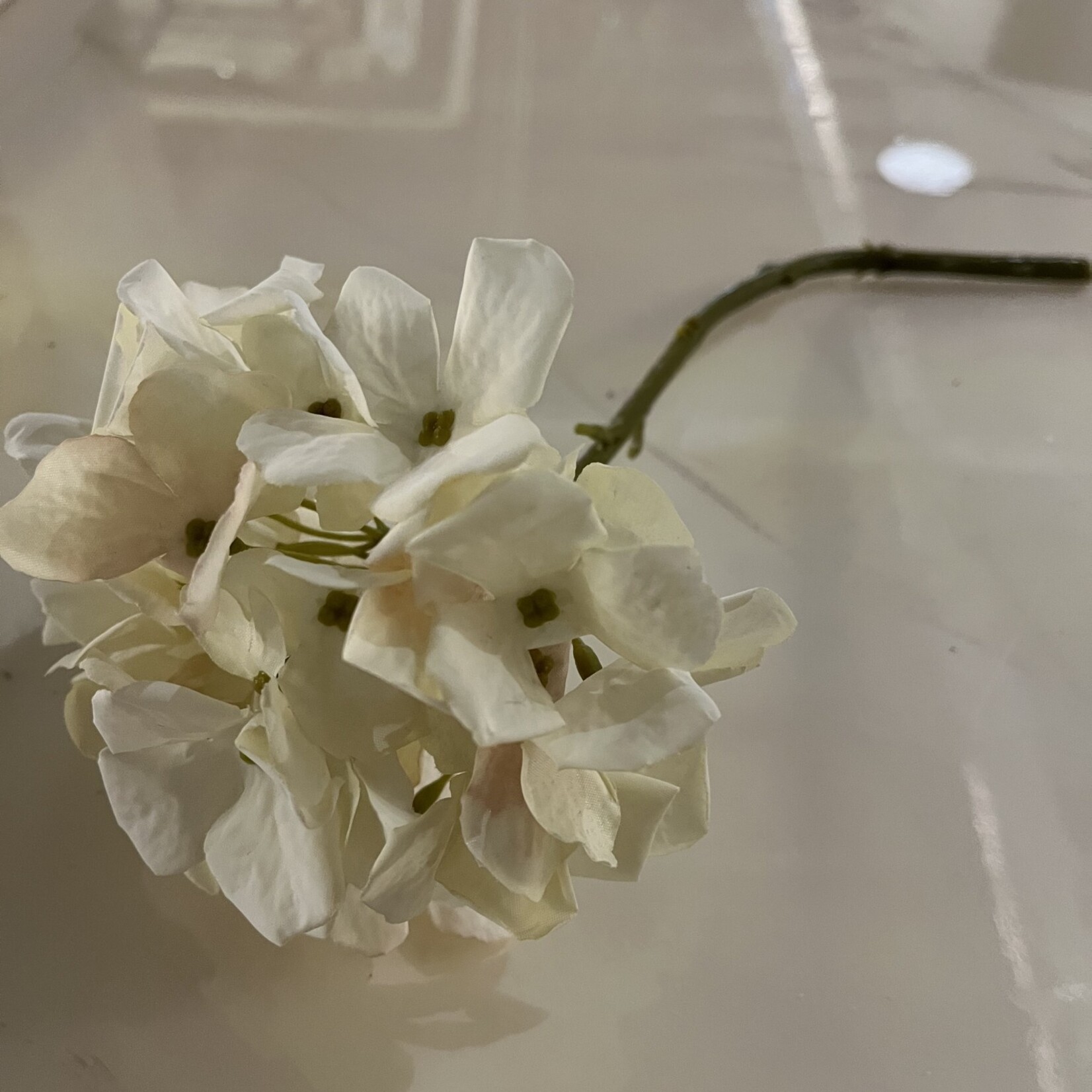 Melrose Hydrangea Stem 13"