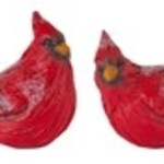 Melrose Cardinal Asst. choose style