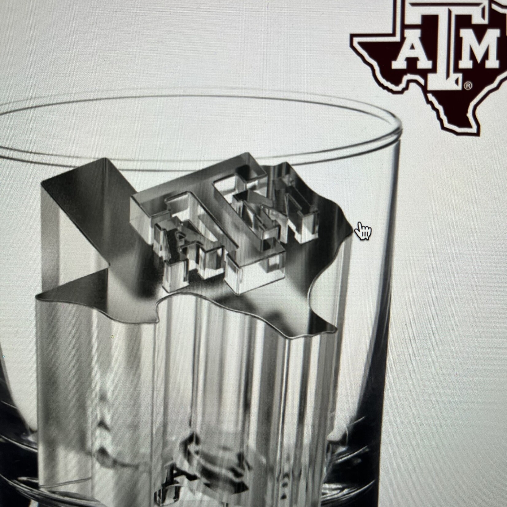 Team Ice Collegiate Ice Cube Molds