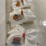 The Solid Bow 5 Inch Embroidered Bow Aligator Clip