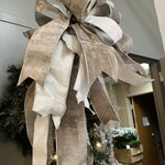 White and Silver Velvet Bow