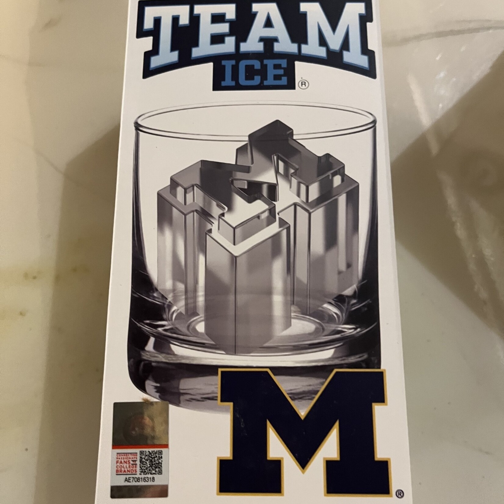 Team Ice University of Michigan Ice Molds