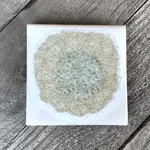 Dock 6 Pottery Coaster Set/4 White