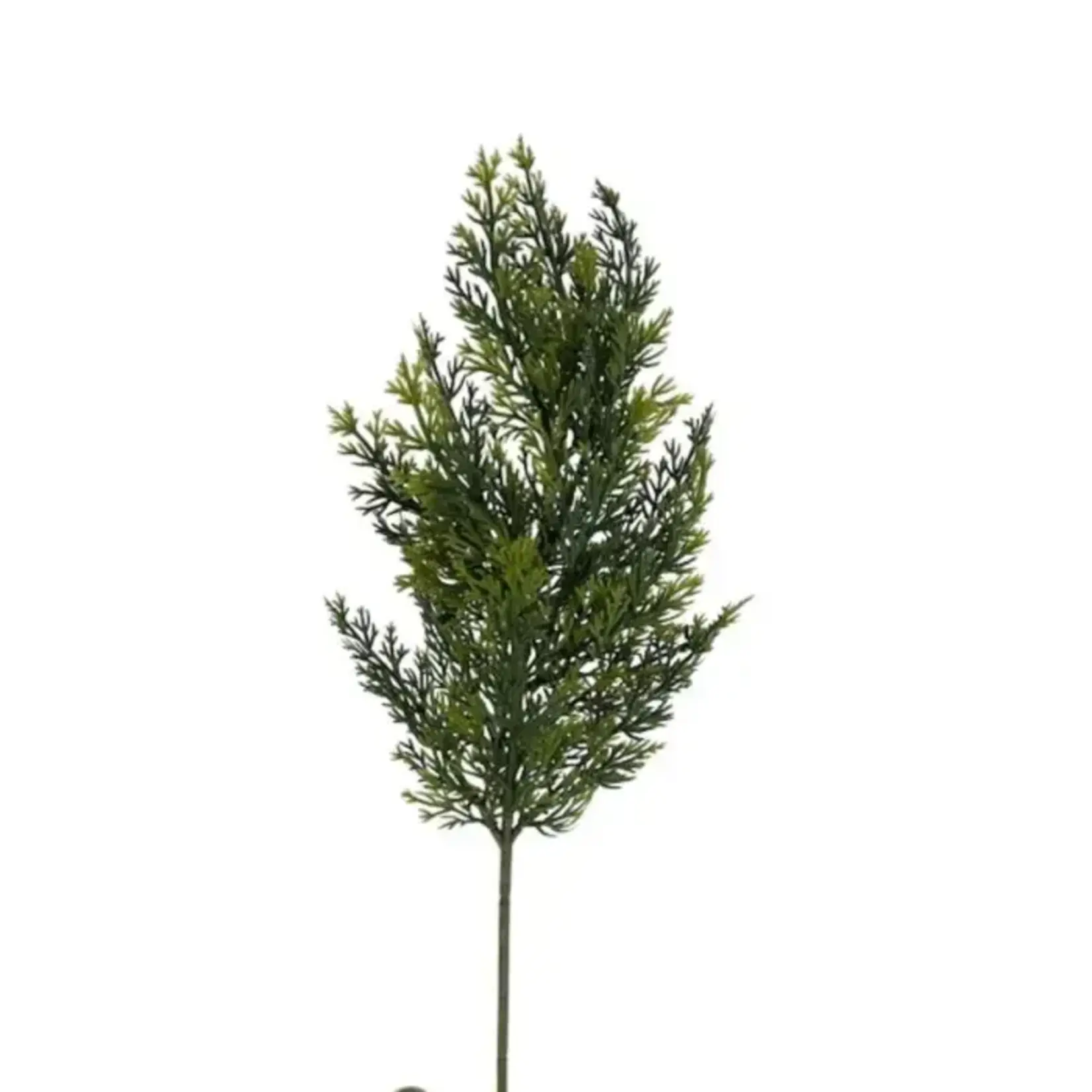 17" Cedar Spray - Green