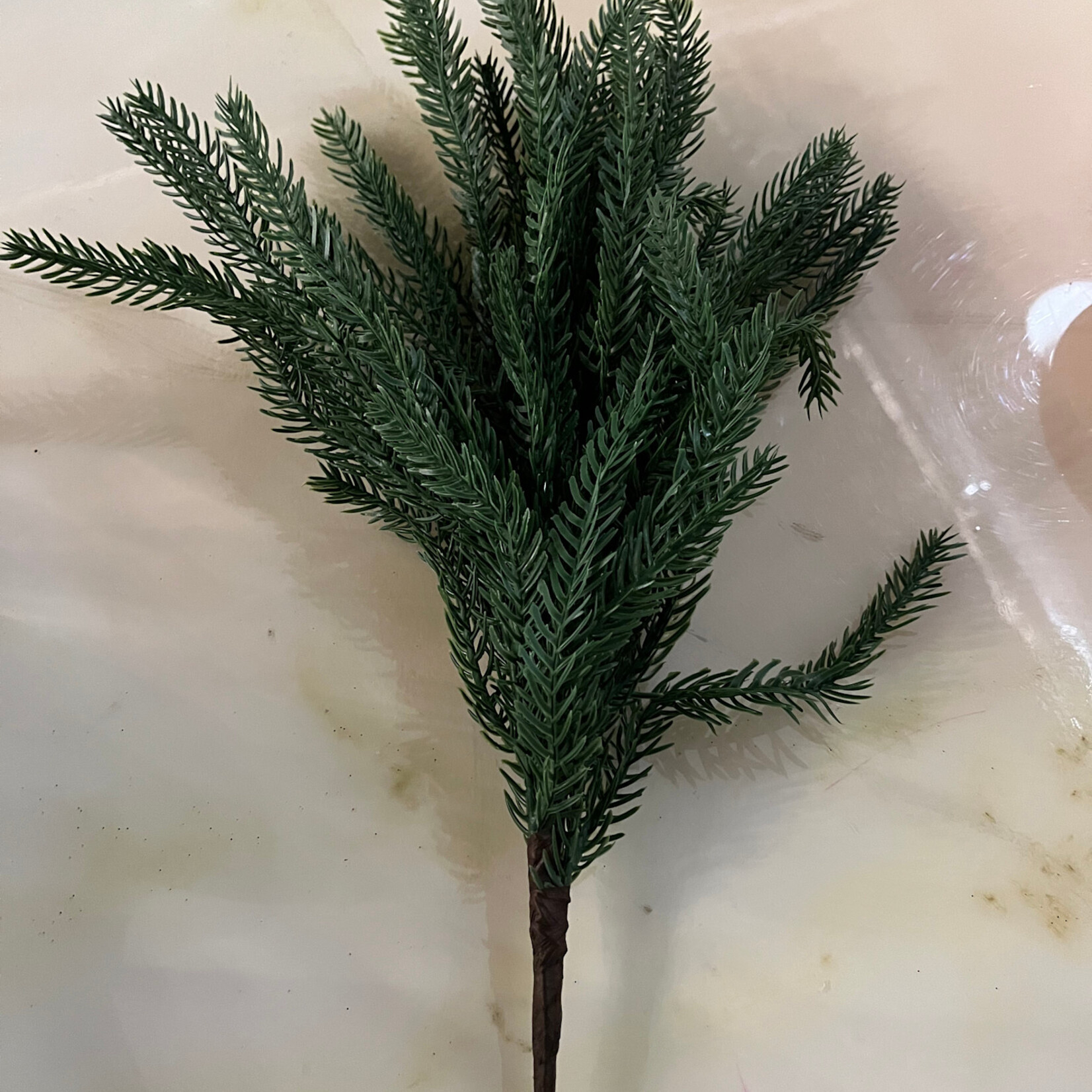 Norfolk Pine Stem 17"