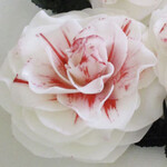 A'Marie"s Bath Flower Shop Heart of Amarylis Soap Flower