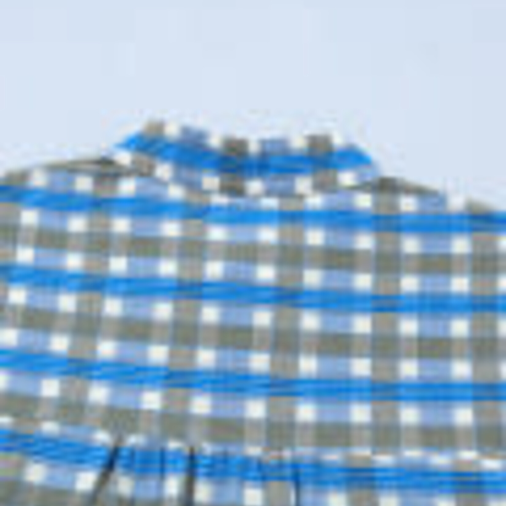 Sky Blue Plaid Long Sleeve Frilled Detail Half Button Blouse