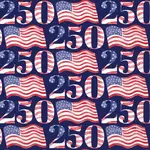Boston International Import 250 USA Beverage Napkin