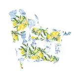 8 Oak Lane Lemon Ginger Oven Mitt