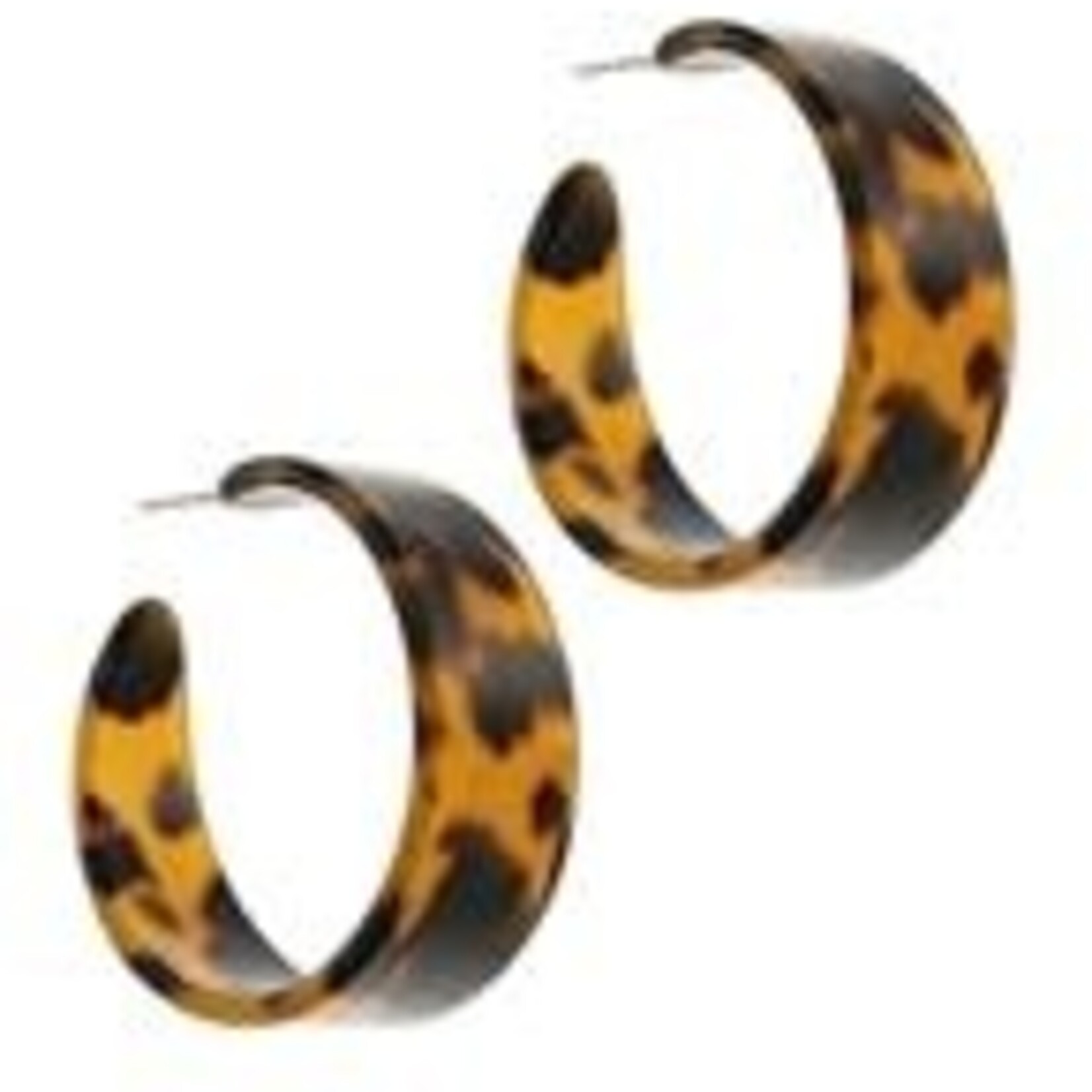 Golden Stella Tortoise Hoop Post