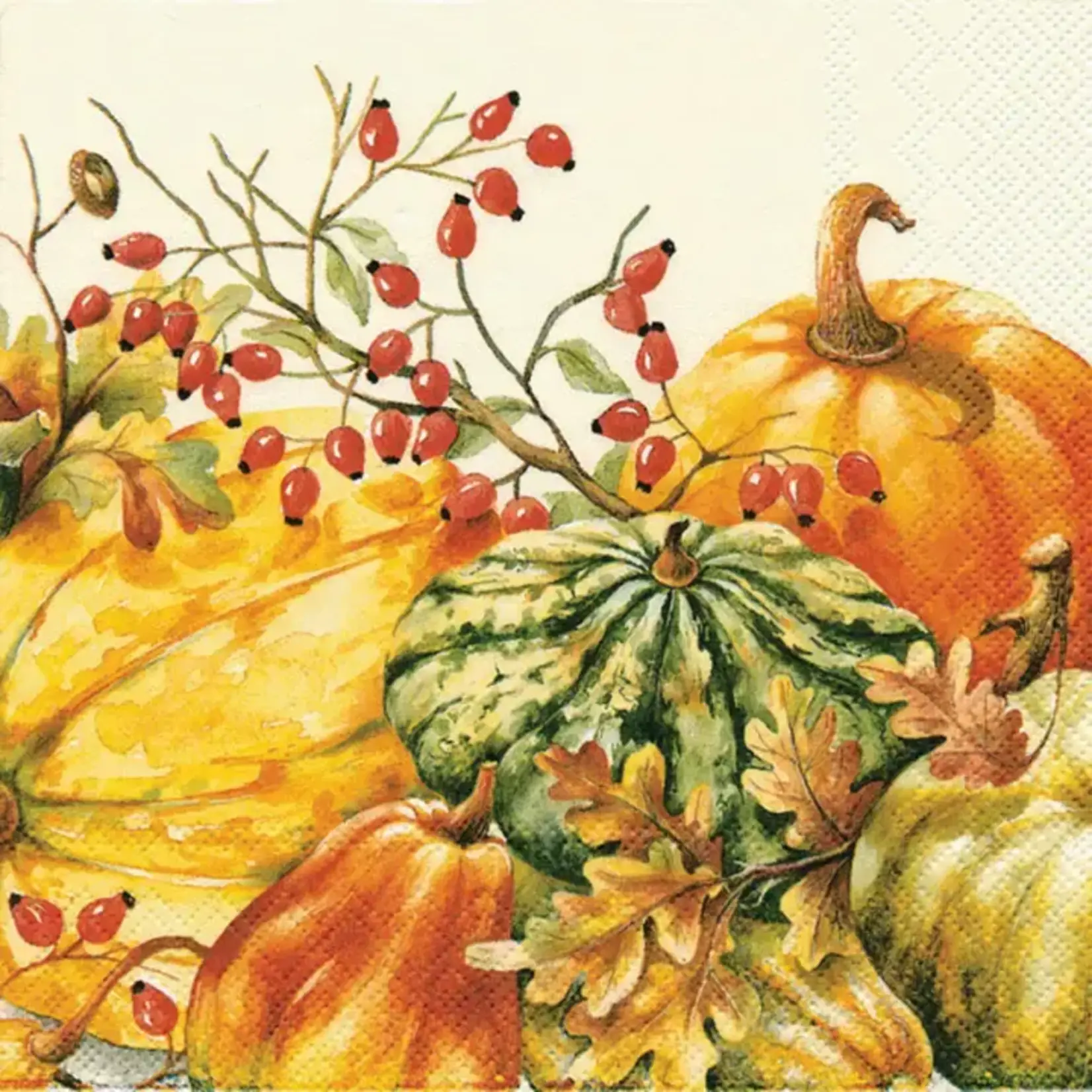 Boston International Import Calabaza Paper Cream Fall Napkin