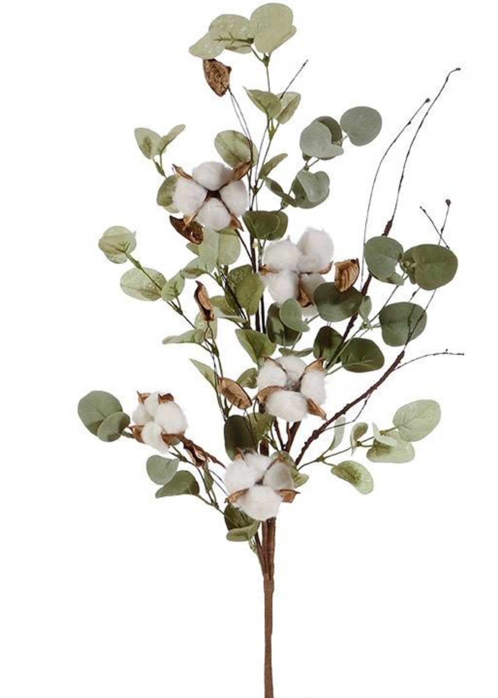 Oak & Willow 33" Eucalyptus & Cotton Stem