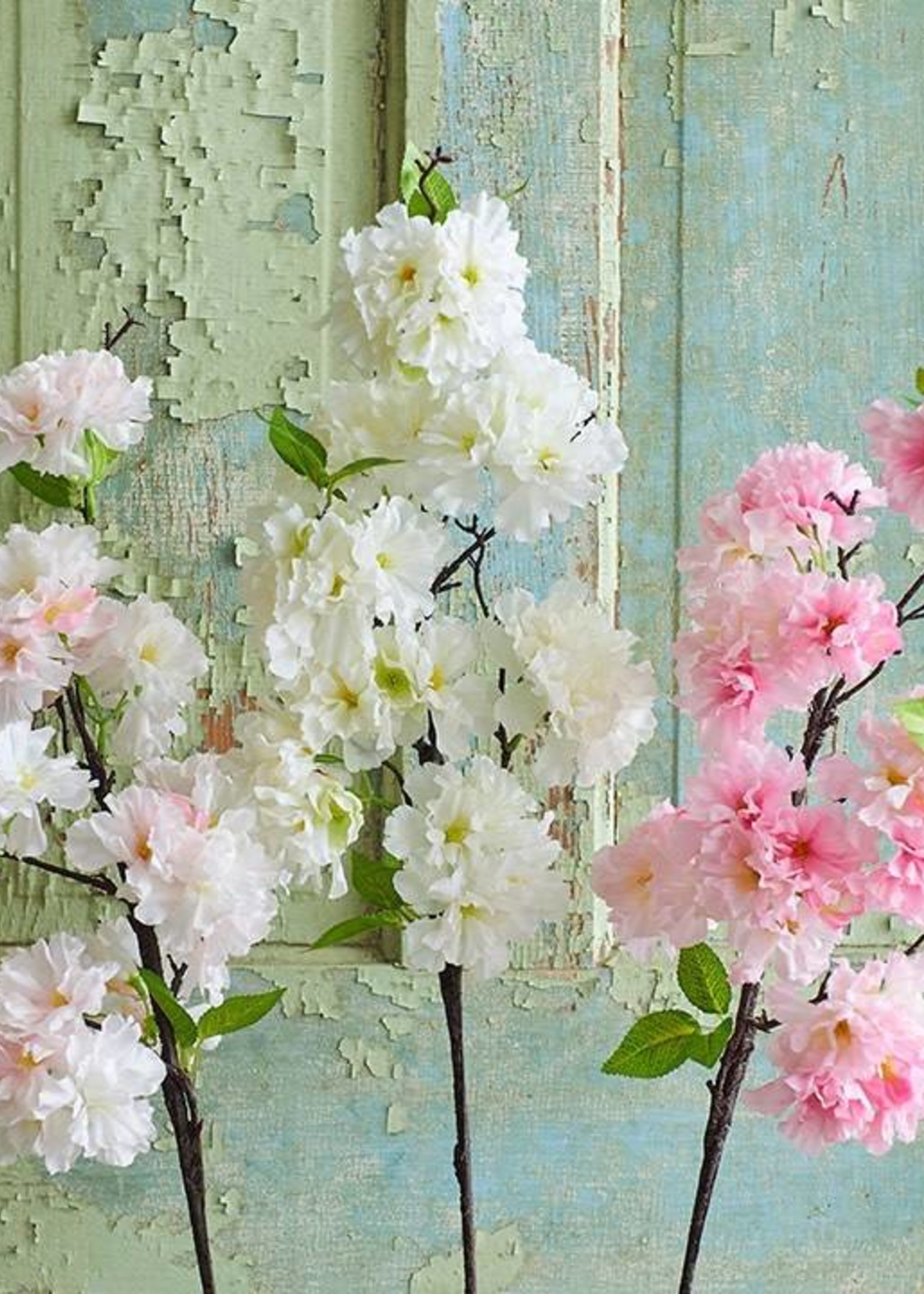 Oak & Willow Cherry Blossom Stem
