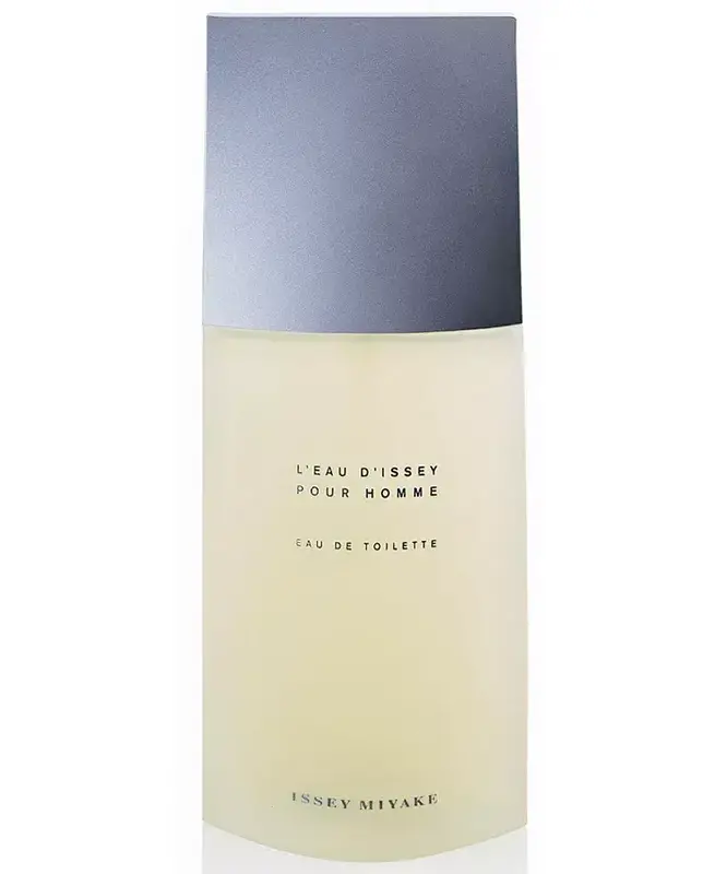 ISSEY MIYAKE POUR.H EDT M 6.7