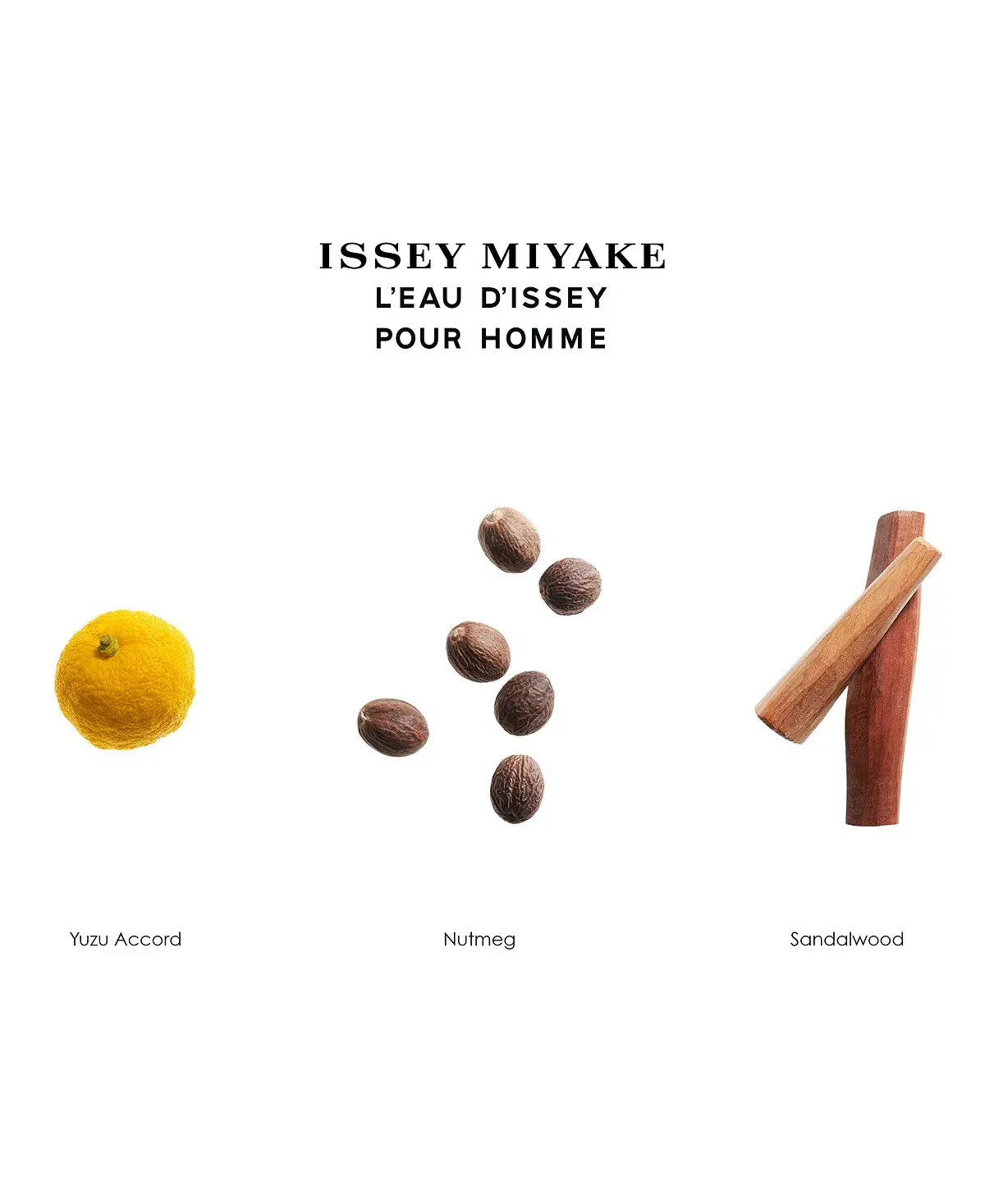ISSEY MIYAKE POUR.H EDT M 4.2