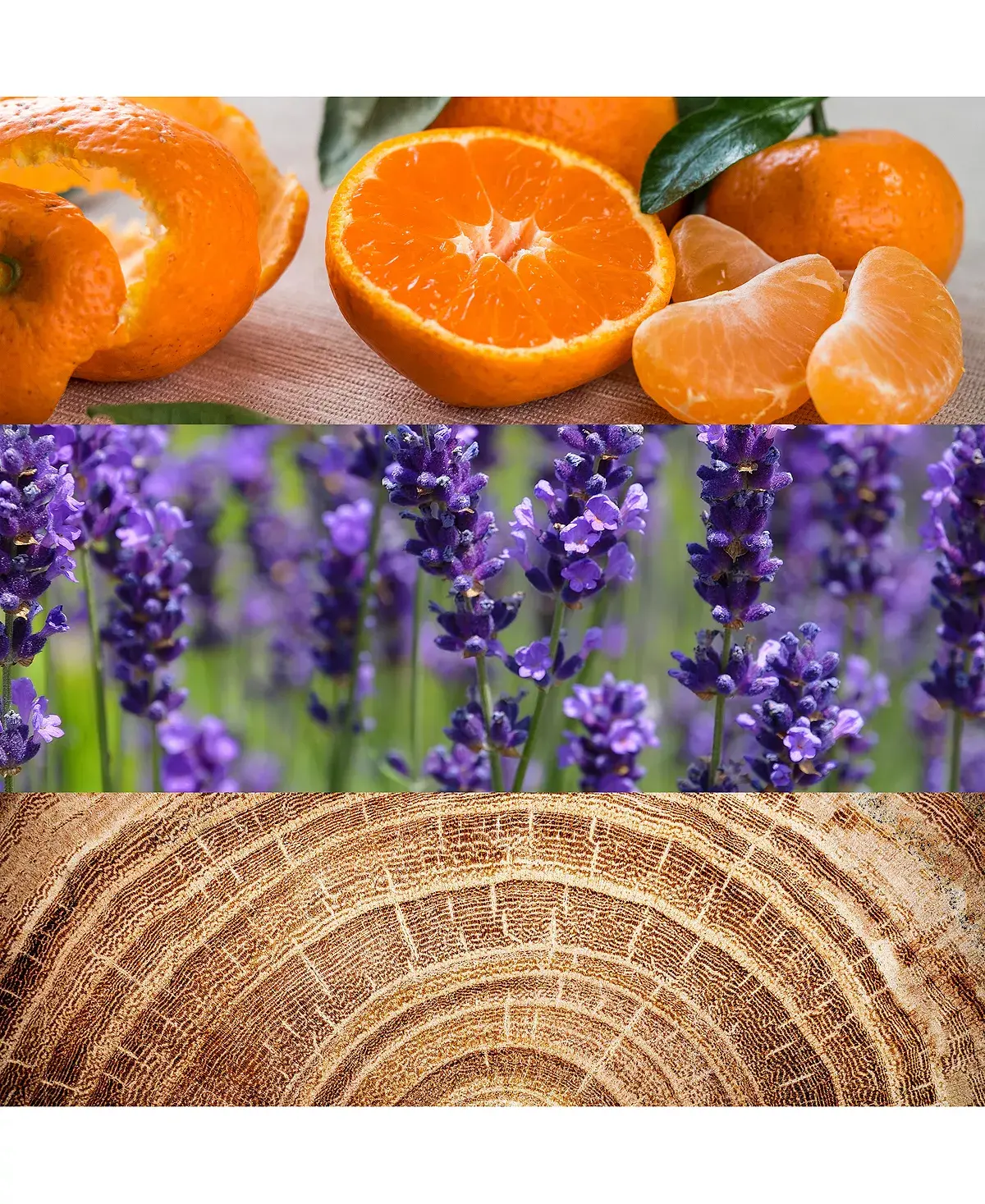 OBSESSION EDT M 4.2 OZ