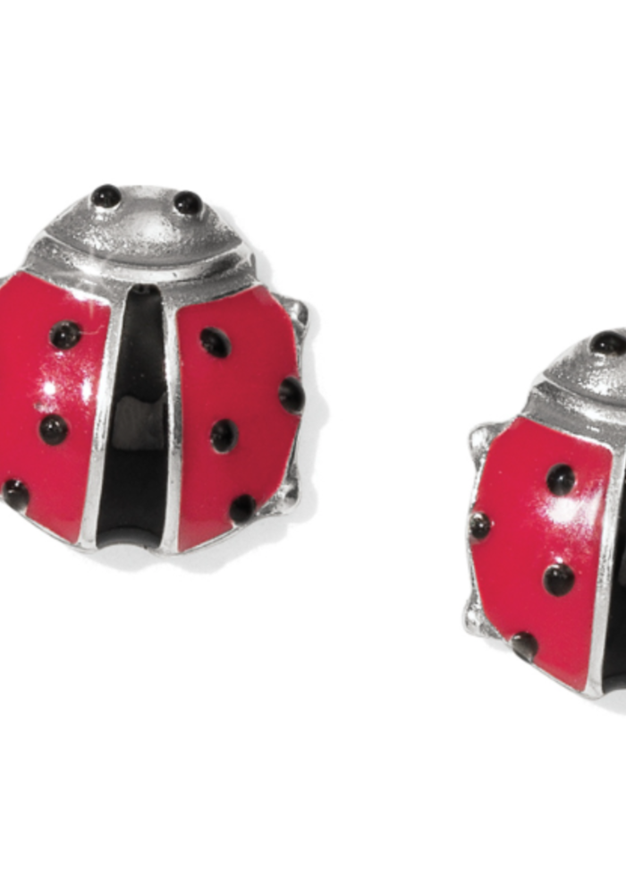Spring Ladybug Mini Post Earrings