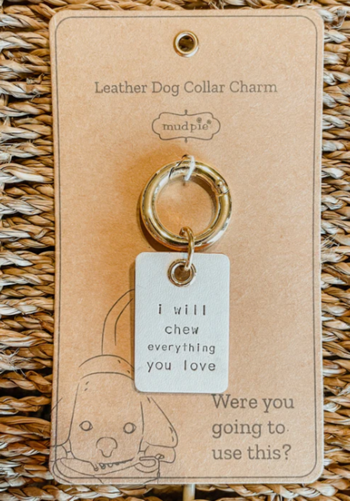 Dog Tag Charm Leather Keychain