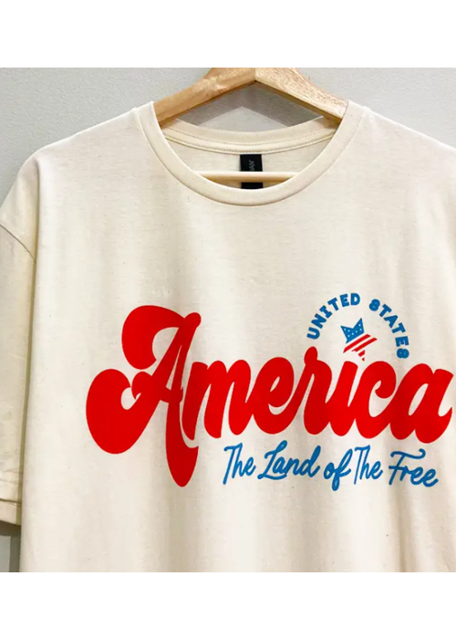 The Land of the Free Oversized Tee