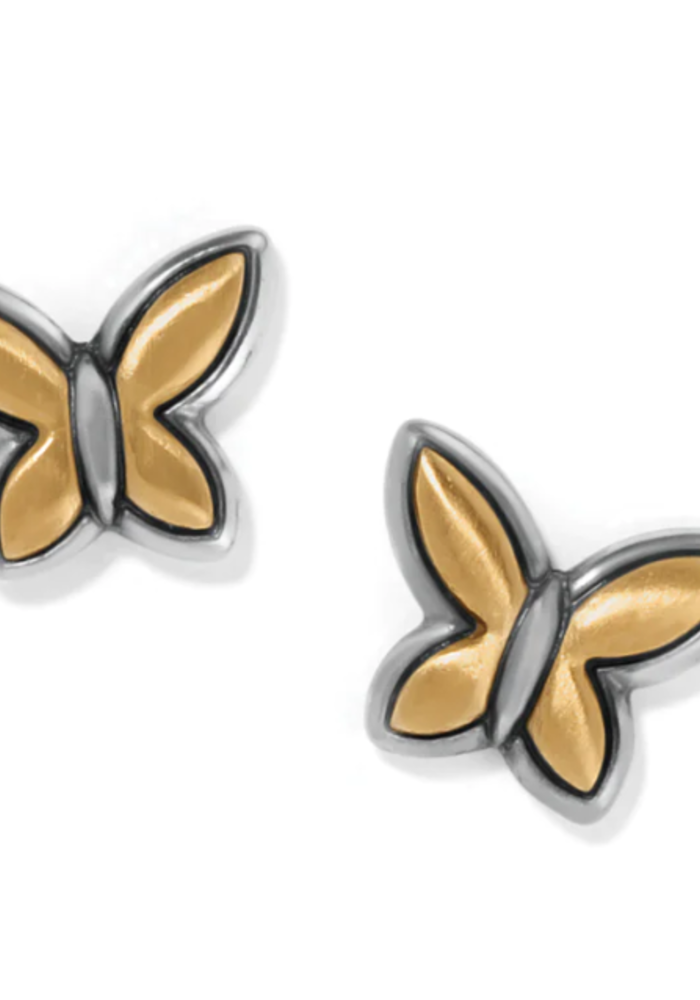 Goldie Wings Mini Post Earrings in Gold/Silver