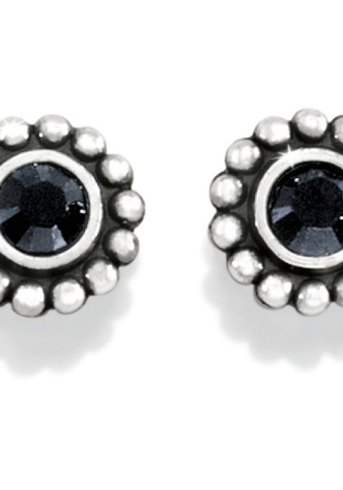 Twinkle Mini Post Earrings in Black