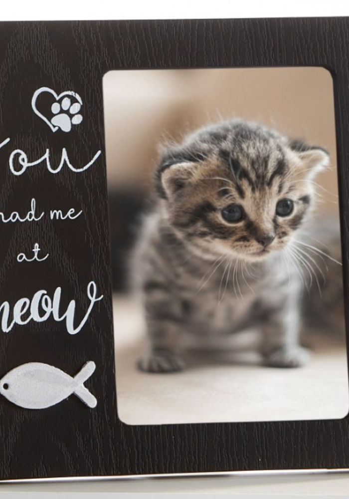 You Had Me at Meow Photo Frame
