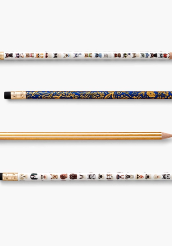 Cats + Dogs Pencil Set