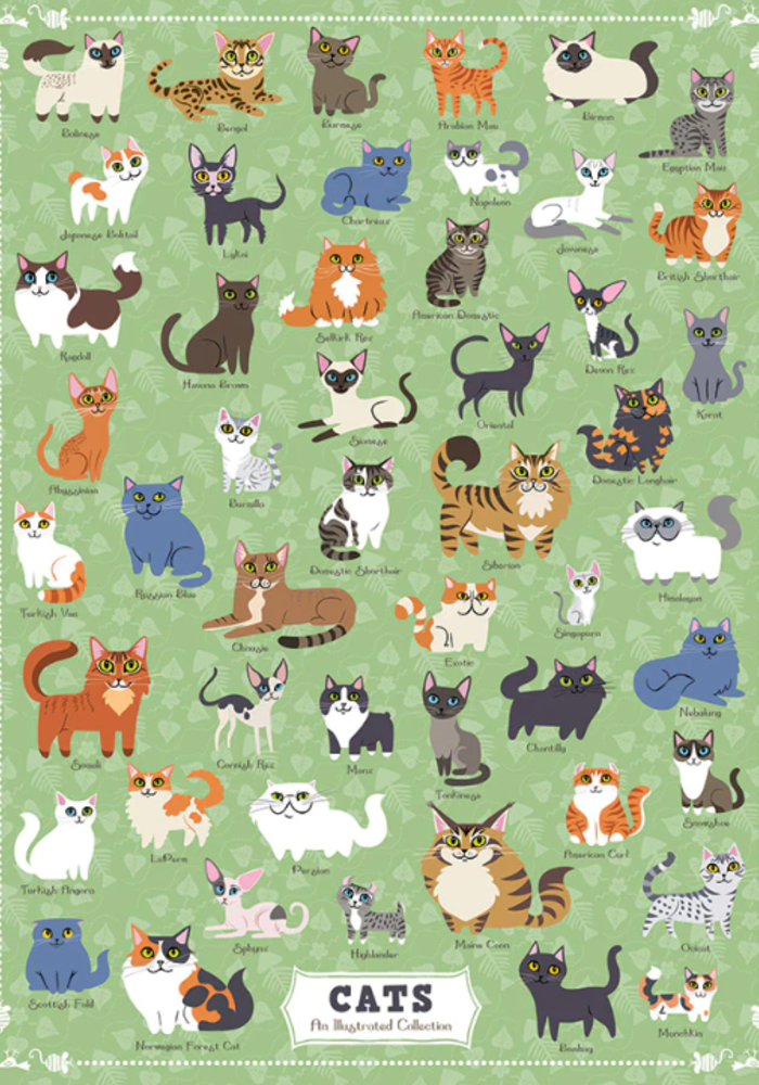 Illustrated Cats 2023 500 Piece Puzzle