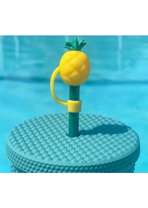 Pineapple Straw Cover