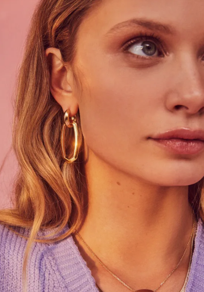 The Danielle Link Earring in Mixed Metal