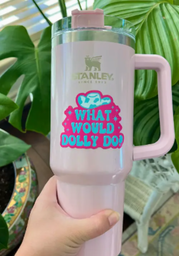 What Would Dolly Do Cup Magnet