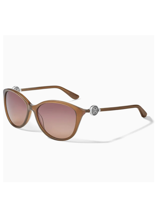 Brighton Ferrara Sunglasses